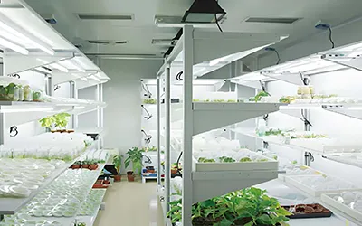 Labordy gyda thymheredd cyson a chynllunio rheolaeth